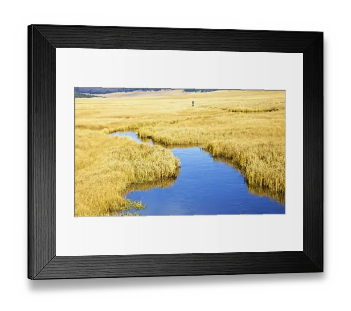 Framed Print : USA, New Mexico, Jemez Mountains in Fall, Valles Caldera National Preserve