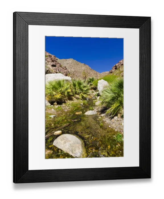 Framed Print : Stream in Borrego Palm Canyon, Anza-Borrego Desert State Park, California, USA