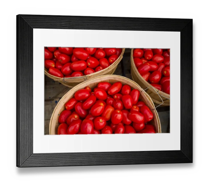 Framed Print : Canada, Quebec, Montreal. Little Italy, Marche Jean Talon Market, tomatoes Framed Print : Canada, Quebec, Montreal. Little Italy, Marche Jean Talon Market, tomatoes
