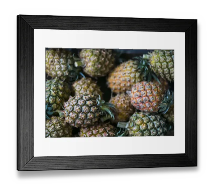 Framed Print : Portugal, Azores, Sao Miguel Island, Ponta Delgada Framed Print : Portugal, Azores, Sao Miguel Island, Ponta Delgada