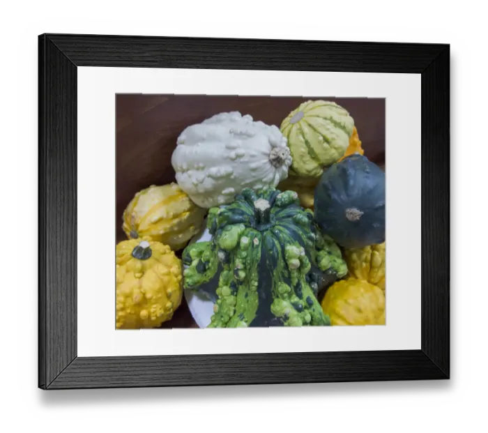 Framed Print : USA, Indiana, Indianapolis. Close-up of gourds