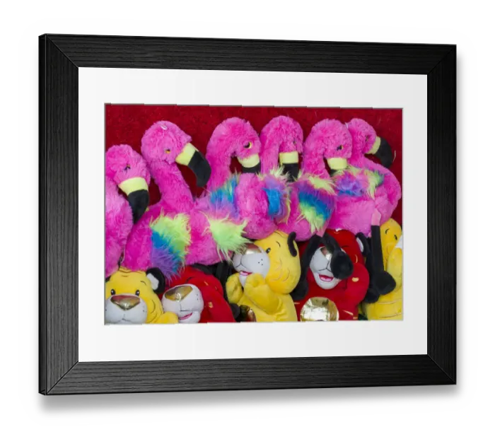 Framed Print : USA, Indiana, Indianapolis. Prizes in a game booth on fair midway