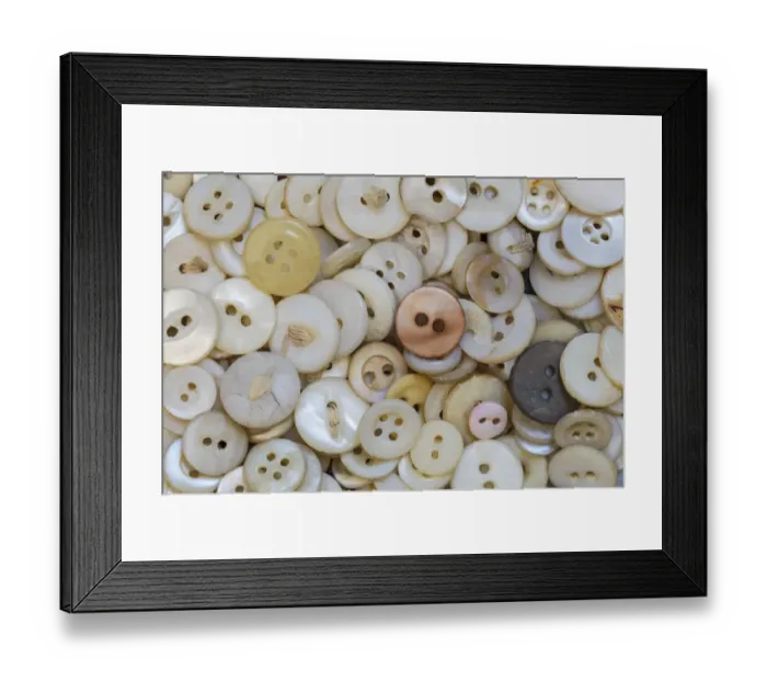 Framed Print : USA, Montana, Missoula. Mother-of-pearl buttons