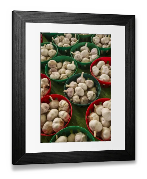Framed Print : Canada, Quebec, Montreal. Little Italy, Marche Jean Talon Market, cloves of garlic