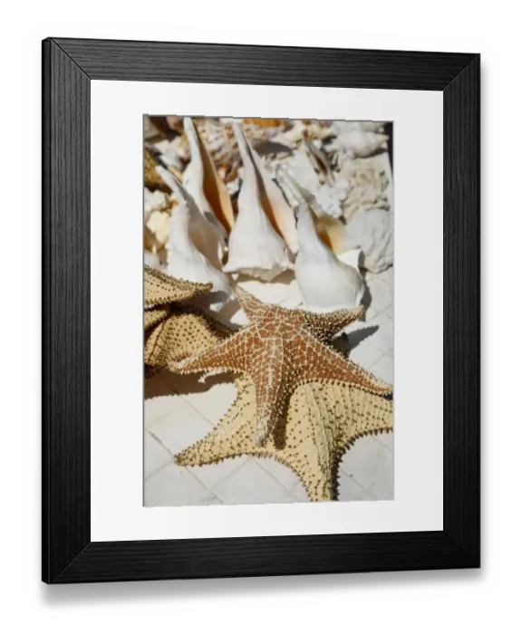 Framed Print : Celestun, Yukatan, Mexico Framed Print : Celestun, Yukatan, Mexico
