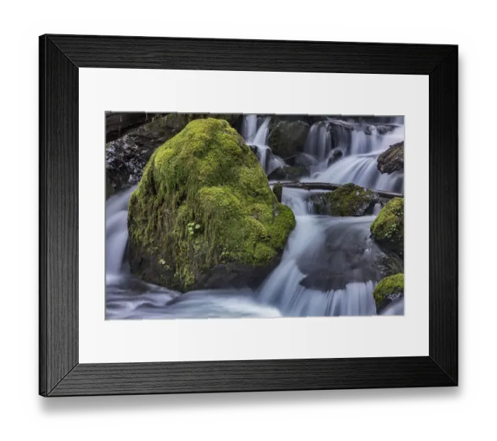 Framed Print : Merriman Falls in the Olympic National Forest, Washington State, USA Framed Print : Merriman Falls in the Olympic National Forest, Washington State, USA