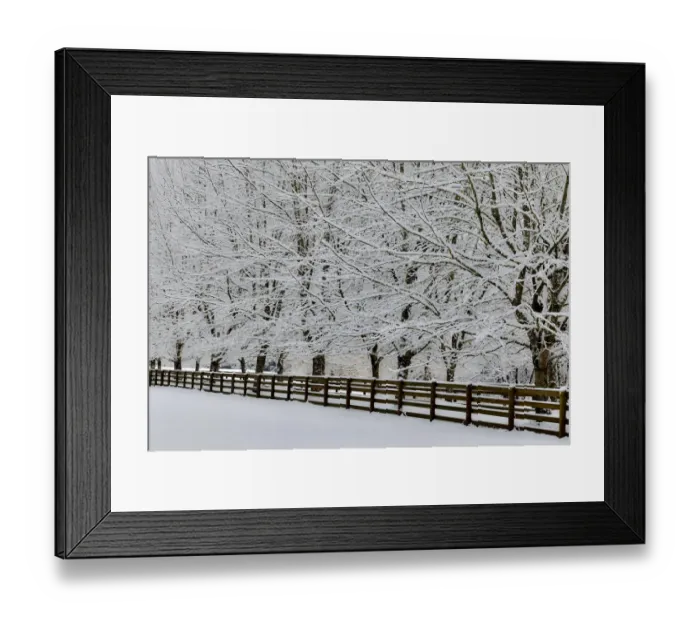 Framed Print : Fence line and fresh snow with trees covered in snow Framed Print : Fence line and fresh snow with trees covered in snow