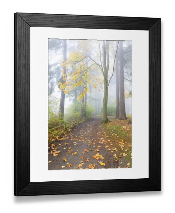 Framed Print : USA, Washington, Seattle. Autumn fog and path in Schmitz Park Framed Print : USA, Washington, Seattle. Autumn fog and path in Schmitz Park