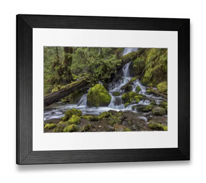Framed Print : Merriman Falls in the Olympic National Forest, Washington State, USA