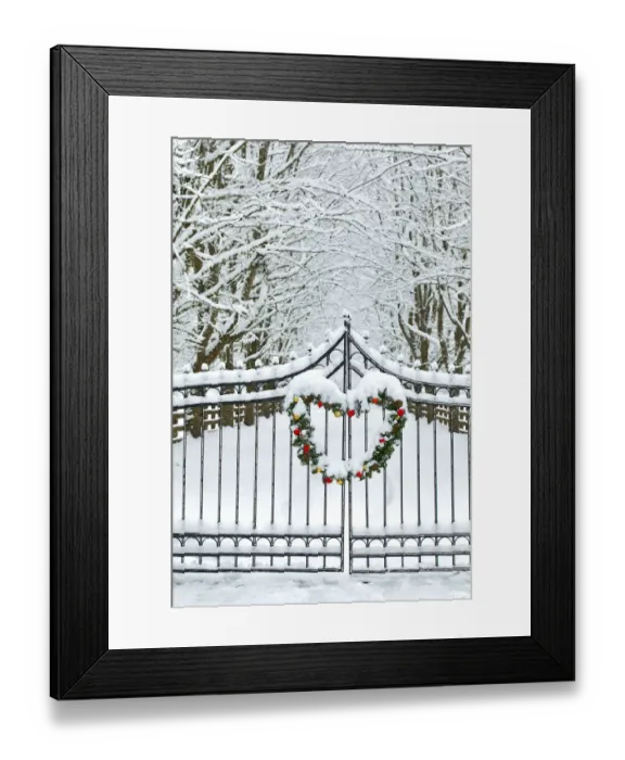 Framed Print : Fence line and fresh snow with trees line lane and metal gate with Christmas wreath Framed Print : Fence line and fresh snow with trees line lane and metal gate with Christmas wreath