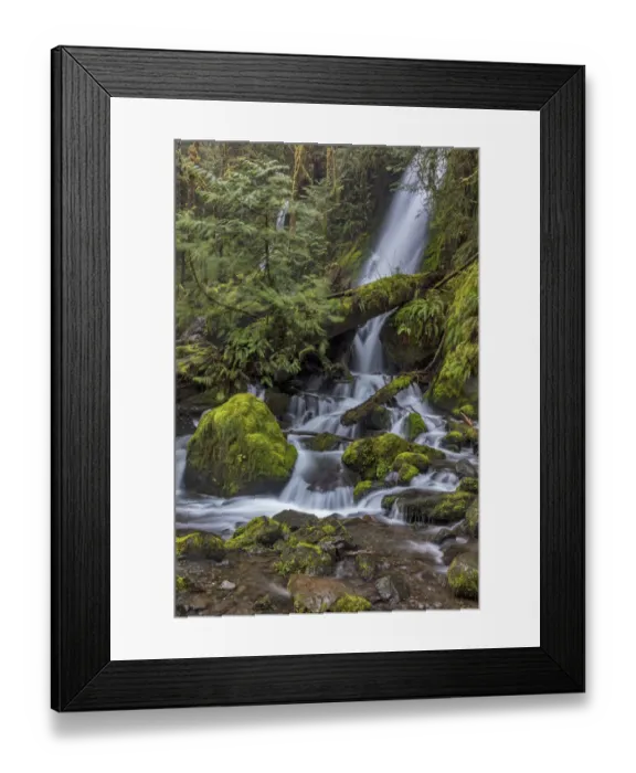 Framed Print : Merriman Falls in the Olympic National Forest, Washington State, USA