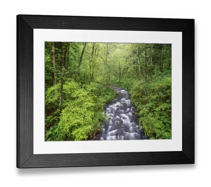 Framed Print : Bridal Veil Creek, Columbia River Gorge, Mt. Hood National Forest, Oregon Framed Print : Bridal Veil Creek, Columbia River Gorge, Mt. Hood National Forest, Oregon