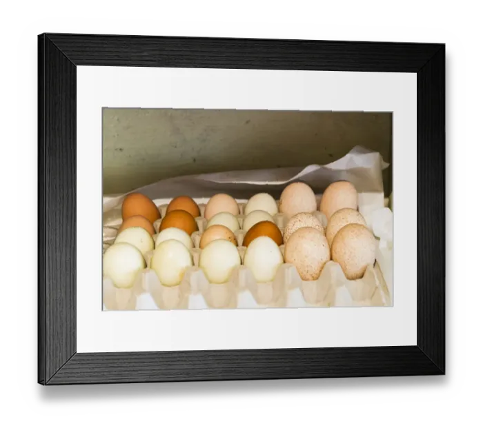 Framed Print : USA, Washington State, Palouse, Whitman County. 2015 No Water No Life Snake River Expedition Framed Print : USA, Washington State, Palouse, Whitman County. 2015 No Water No Life Snake River Expedition