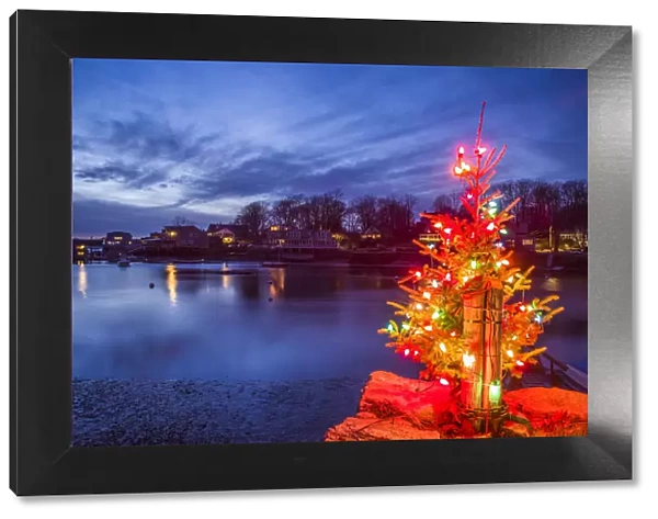USA, Massachusetts, Cape Ann, Annisquam. Lobster Cove, Christmas Tree