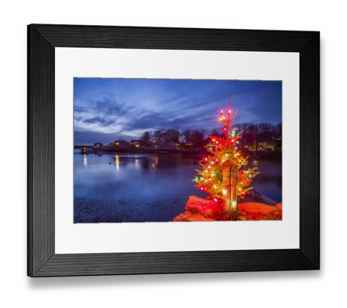 Framed Print : USA, Massachusetts, Cape Ann, Annisquam. Lobster Cove, Christmas Tree Framed Print : USA, Massachusetts, Cape Ann, Annisquam. Lobster Cove, Christmas Tree