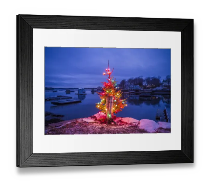 Framed Print : USA, Massachusetts, Cape Ann, Annisquam. Lobster Cove, Christmas Tree Framed Print : USA, Massachusetts, Cape Ann, Annisquam. Lobster Cove, Christmas Tree