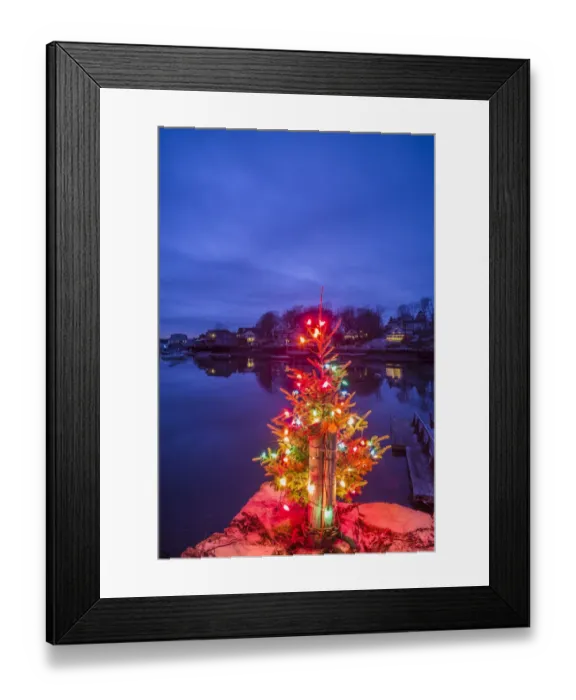 Framed Print : USA, Massachusetts, Cape Ann, Annisquam. Lobster Cove, Christmas Tree Framed Print : USA, Massachusetts, Cape Ann, Annisquam. Lobster Cove, Christmas Tree