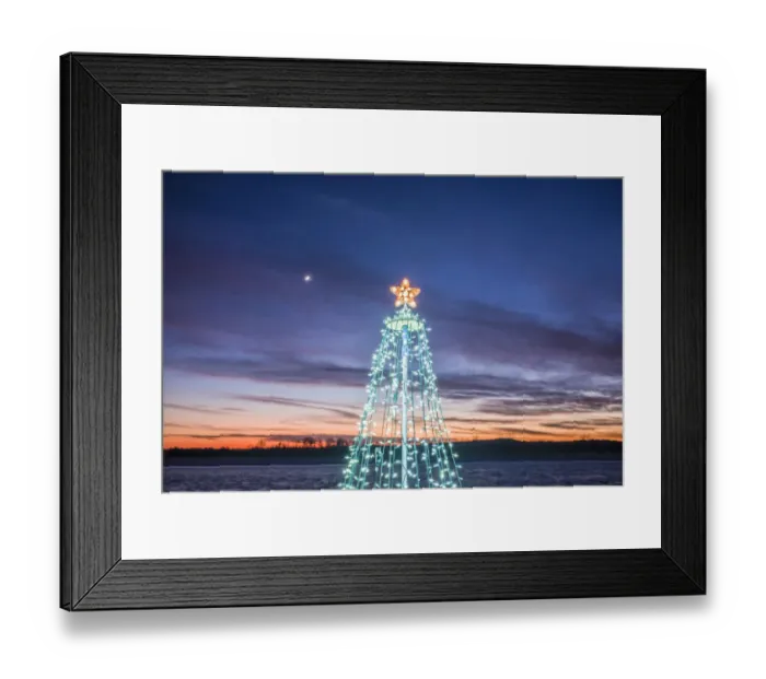 Framed Print : USA, Massachusetts, Cape Ann, Annisquam. Waterfront Christmas Tree
