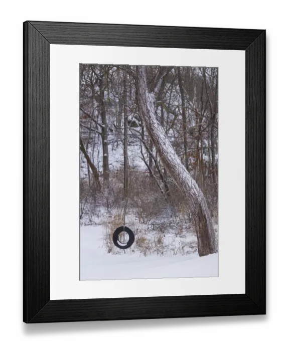 Framed Print : USA, Massachusetts, Cape Ann, Annisquam. Tire swing in the snow, winter Framed Print : USA, Massachusetts, Cape Ann, Annisquam. Tire swing in the snow, winter
