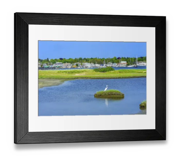 Framed Print : Great white egret marsh, Padanaram Village, Harbor Bridge, Buzzards Bay, Massachusetts, USA