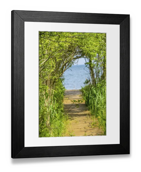 Framed Print : Beach path through trees. Padanaram, Dartmouth, Massachusetts Framed Print : Beach path through trees. Padanaram, Dartmouth, Massachusetts