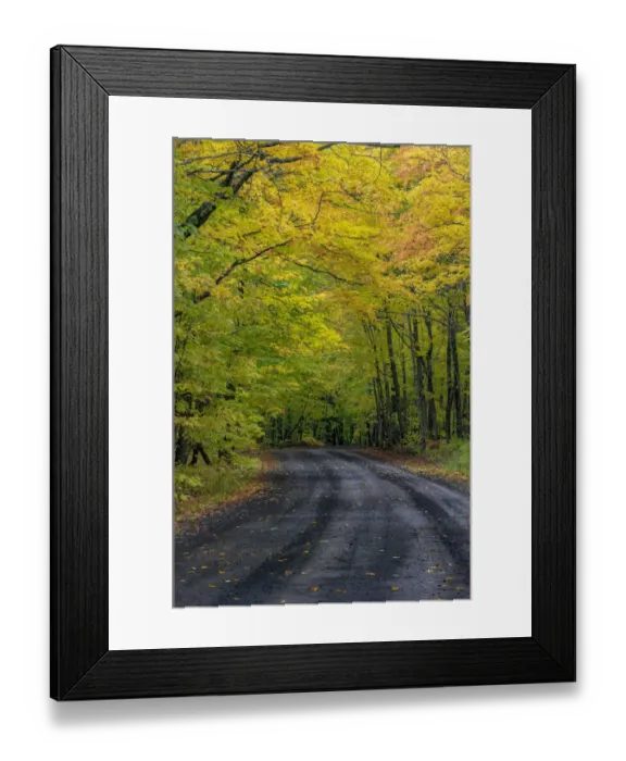 Framed Print : Covered Road near Houghton in the Upper Peninsula of Michigan, USA Framed Print : Covered Road near Houghton in the Upper Peninsula of Michigan, USA