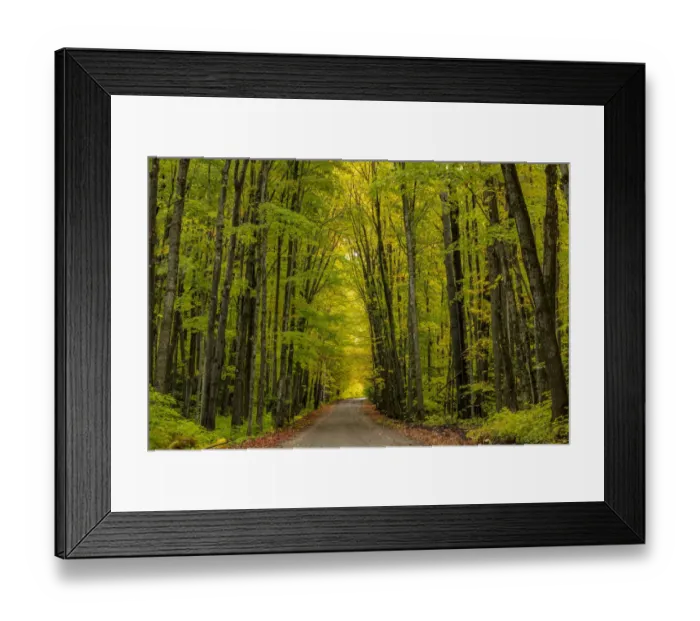 Framed Print : Covered Road near Houghton in the Upper Peninsula of Michigan, USA Framed Print : Covered Road near Houghton in the Upper Peninsula of Michigan, USA