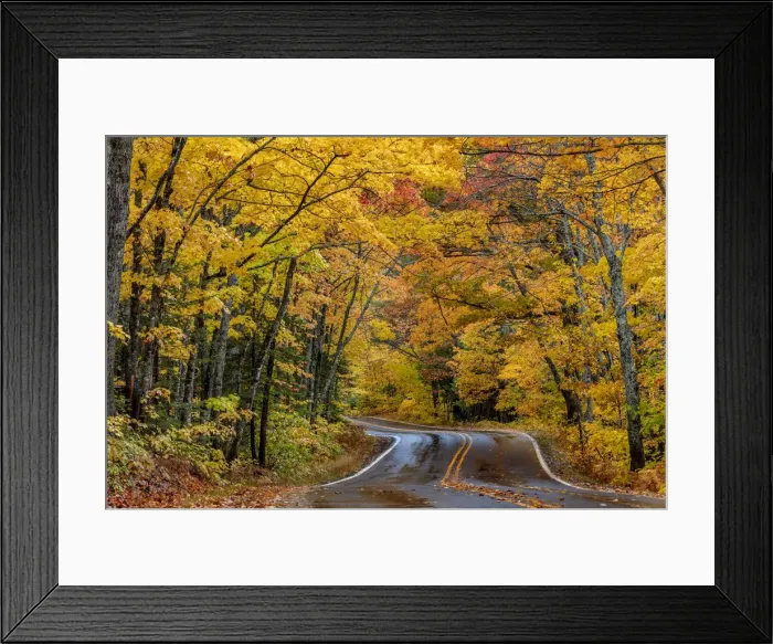Framed Print : Highway 41 covered roadway in autumn near Copper Harbor in the Upper Peninsula of Michigan Framed Print : Highway 41 covered roadway in autumn near Copper Harbor in the Upper Peninsula of Michigan