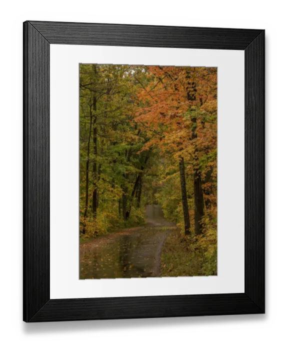 Framed Print : USA, Minnesota, Itasca State Park
