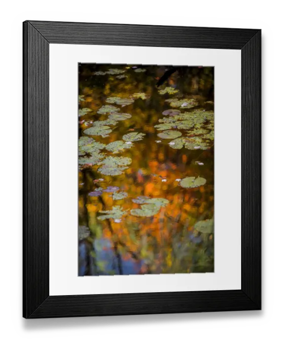 Framed Print : USA, Minnesota, Itasca State Park Framed Print : USA, Minnesota, Itasca State Park