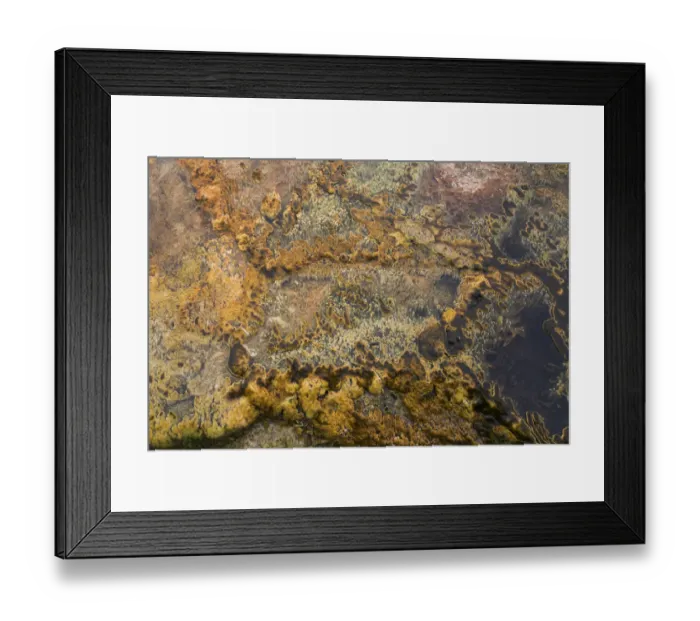 Framed Print : USA, Wyoming, Yellowstone National Park, Black Sand Basin. Microbial mats grow in the warm waters Framed Print : USA, Wyoming, Yellowstone National Park, Black Sand Basin. Microbial mats grow in the warm waters