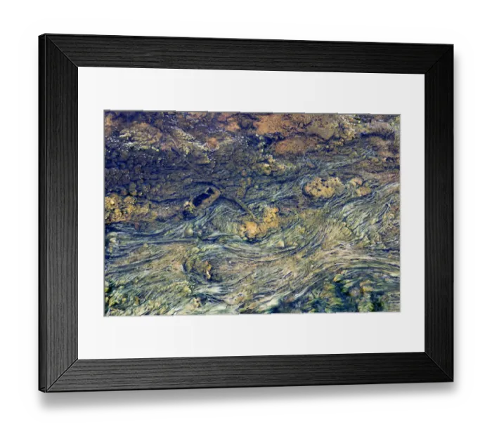 Framed Print : USA, Wyoming, Yellowstone National Park, Black Sand Basin. Microbial mats grow in the warm waters