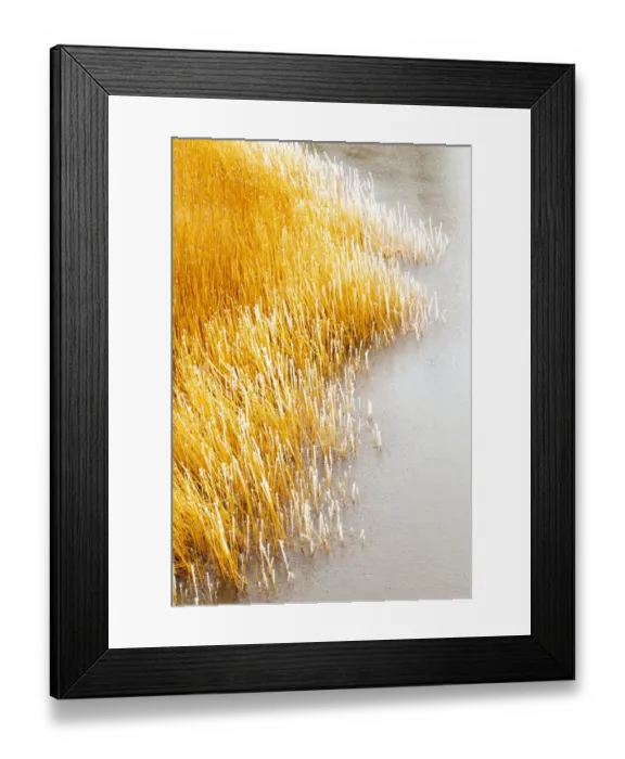 Framed Print : Usa, Wyoming, Yellowstone National Park, near Swan Flats