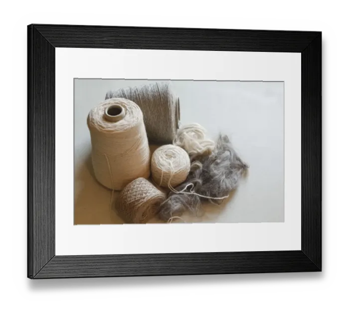 Framed Print : Alpaca Farm. Millbrook, New York, USA Framed Print : Alpaca Farm. Millbrook, New York, USA