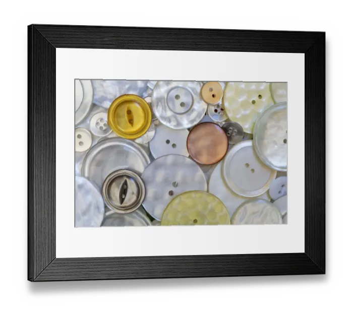 Framed Print : USA, Montana, Missoula. Mother-of-pearl buttons Framed Print : USA, Montana, Missoula. Mother-of-pearl buttons