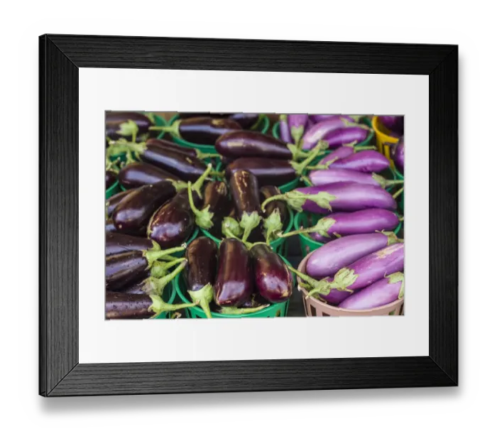 Framed Print : Canada, Quebec, Montreal. Little Italy, Marche Jean Talon Market, aubergines Framed Print : Canada, Quebec, Montreal. Little Italy, Marche Jean Talon Market, aubergines