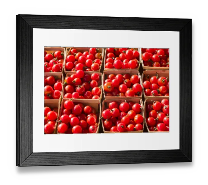 Framed Print : Canada, Quebec, Montreal. Little Italy, Marche Jean Talon Market, tomatoes Framed Print : Canada, Quebec, Montreal. Little Italy, Marche Jean Talon Market, tomatoes