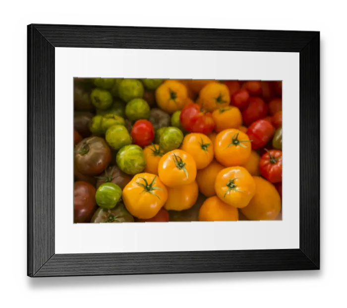Framed Print : Canada, Quebec, Montreal. Little Italy, Marche Jean Talon Market, tomatoes Framed Print : Canada, Quebec, Montreal. Little Italy, Marche Jean Talon Market, tomatoes