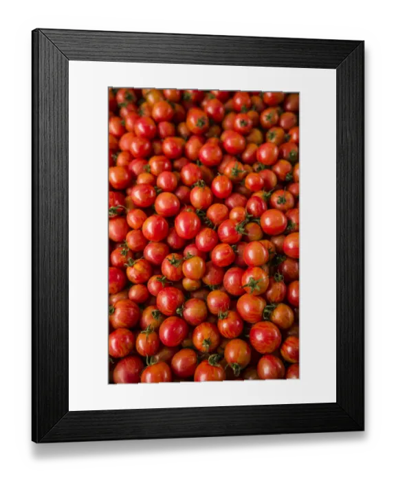 Framed Print : Canada, Quebec, Montreal. Little Italy, Marche Jean Talon Market, tomatoes Framed Print : Canada, Quebec, Montreal. Little Italy, Marche Jean Talon Market, tomatoes