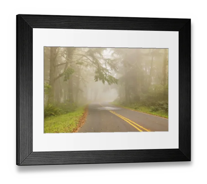 Framed Print : Cape Perpetua State Park, Oregon Coast, USA Framed Print : Cape Perpetua State Park, Oregon Coast, USA