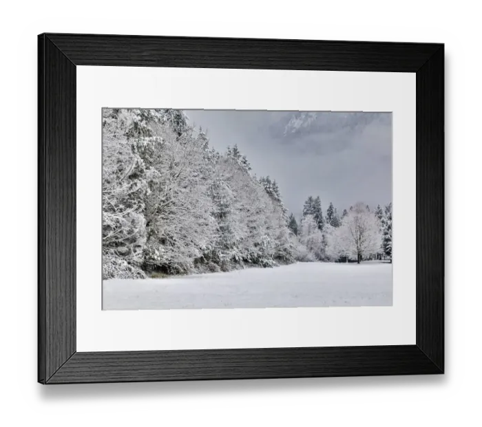 Framed Print : Fresh snow on field lined with snow covered trees