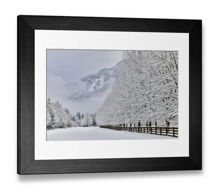 Framed Print : Fence line and fresh snow with trees covered in snow Framed Print : Fence line and fresh snow with trees covered in snow