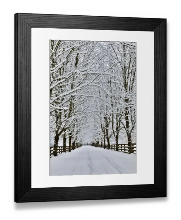 Framed Print : Fresh snow on tree and fence near, town of Snoqualmie