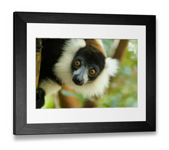 Framed Print : Africa, Madagascar, Lake Ampitabe, Akanin ny nofy Reserve