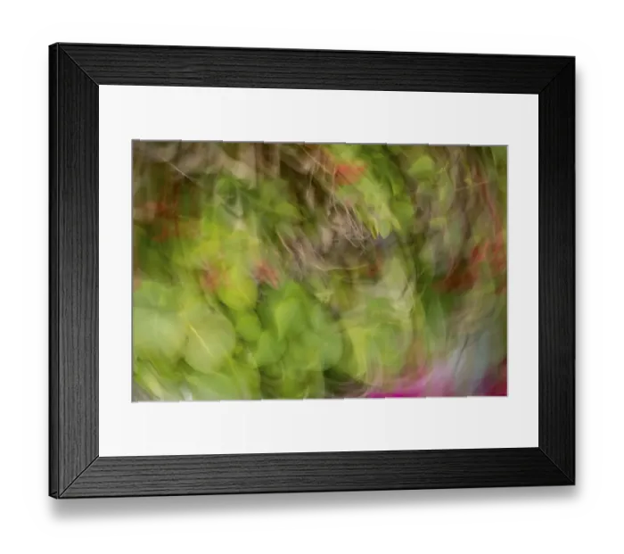 Framed Print : Colorful abstract of leaves