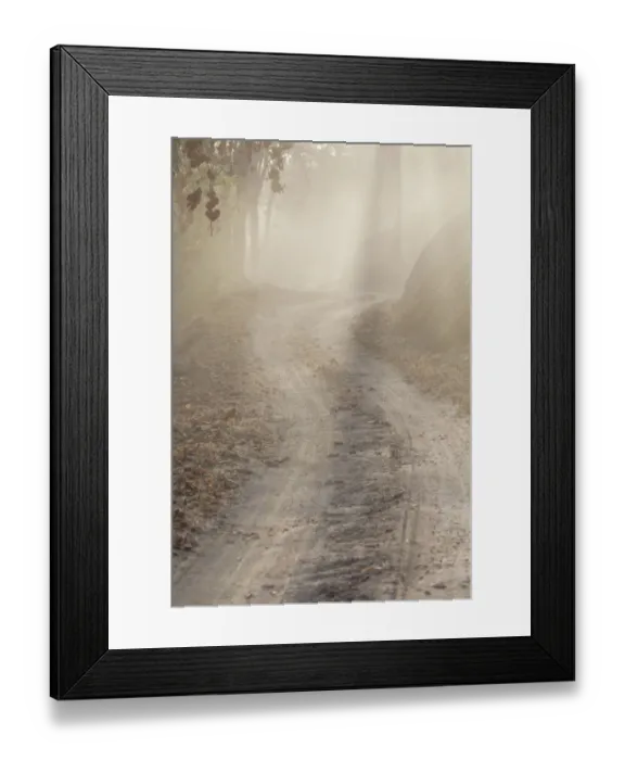 Framed Print : India, Madhya Pradesh, Kanha National Park. Dust is a common sight along the roads of the park