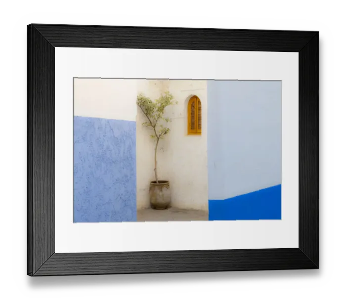 Framed Print : Africa, Morocco, Asilah. Potted tree and painted walls