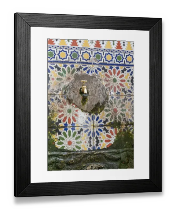 Framed Print : Africa, Morocco, Essaouira. Algae around wall faucet Framed Print : Africa, Morocco, Essaouira. Algae around wall faucet