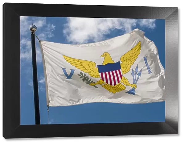 US Virgin Islands flag, Frederiksted, St. Croix, US Virgin Islands
