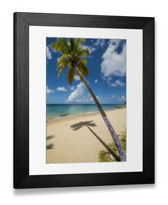 Framed Print : Sprat Hall Beach, St. Croix, US Virgin Islands Framed Print : Sprat Hall Beach, St. Croix, US Virgin Islands